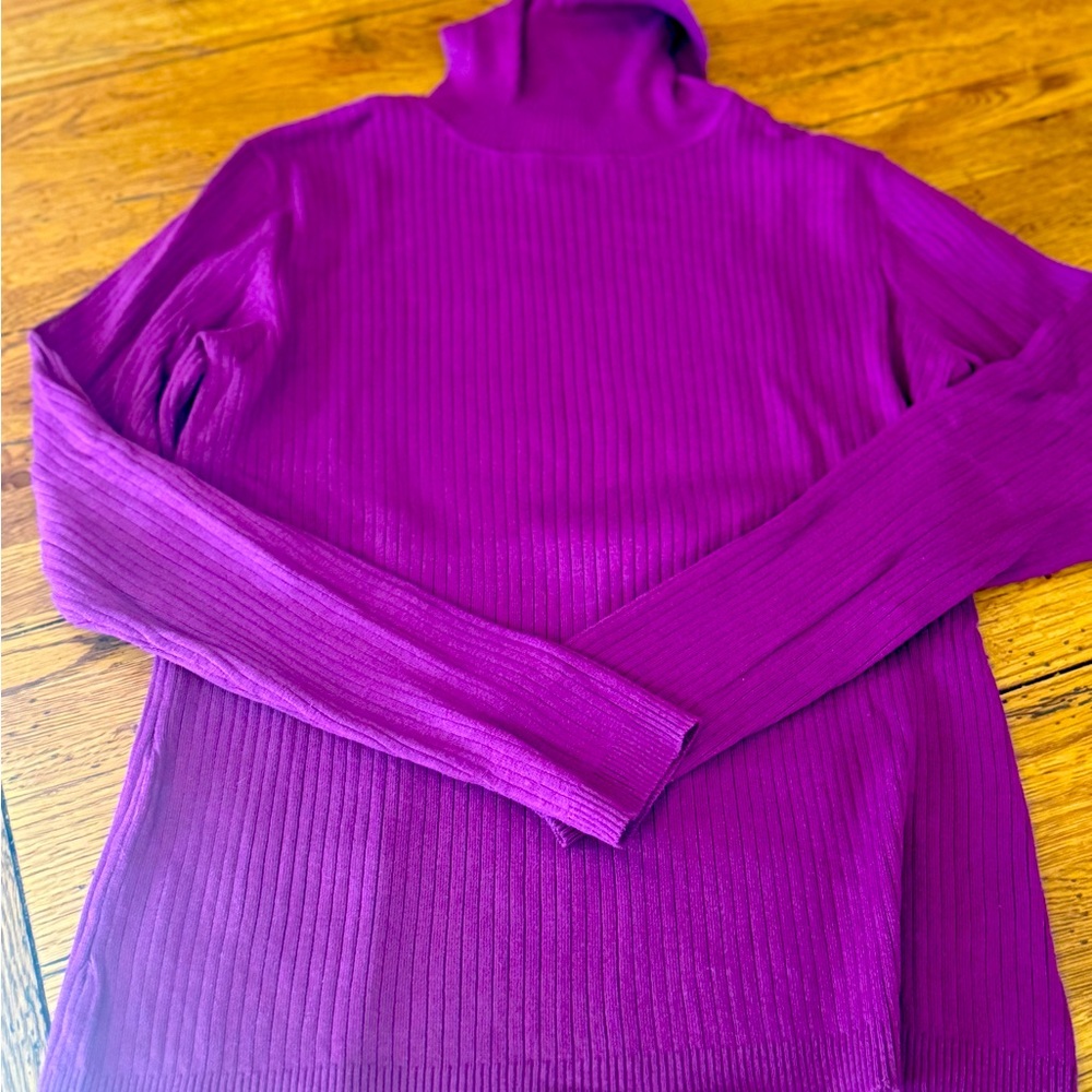 Chicos wine colored turtleneck , long sleeves  top. Mint condition